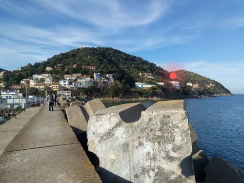 Vente Terrain Skikda Collo