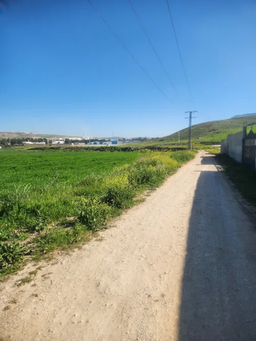 Vente Terrain Constantine El khroub