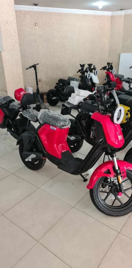 Mimo one Mimo sport 2025