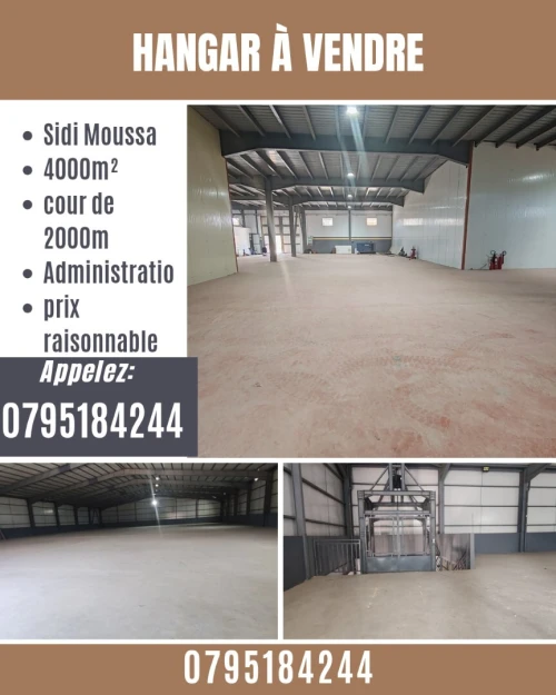 Vente Hangar - Usine Alger Sidi moussa