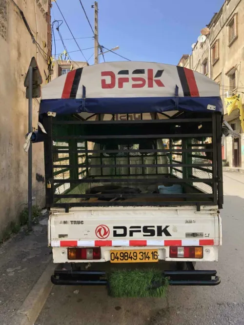 DFSK Mini Truck 2014 SC 2m50