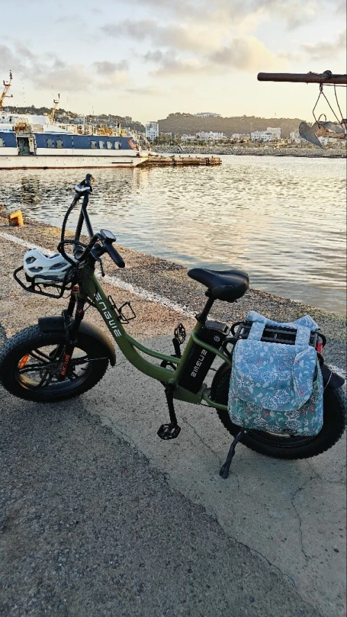 Velo électrique