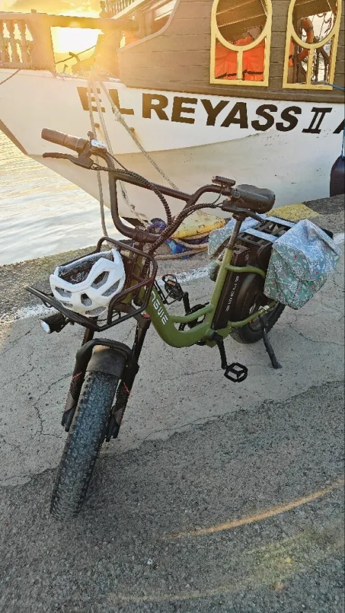 Velo électrique