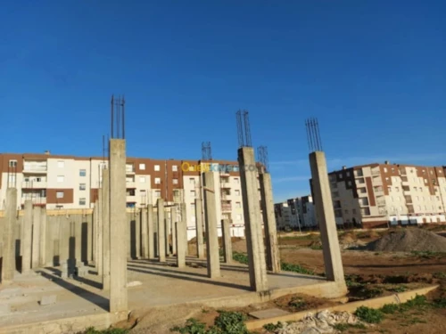 Vente Terrain Aïn Defla El attaf
