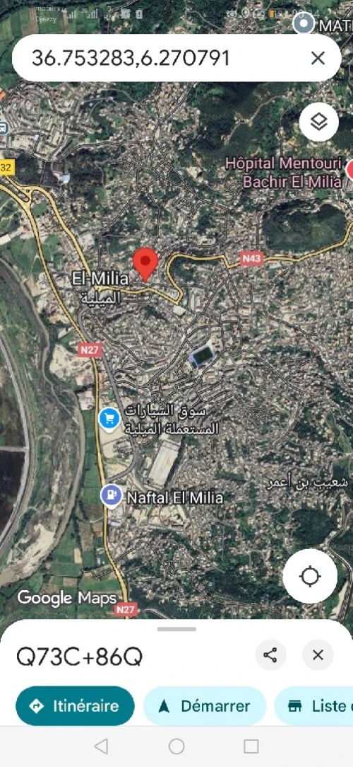 Vente Local Jijel El milia