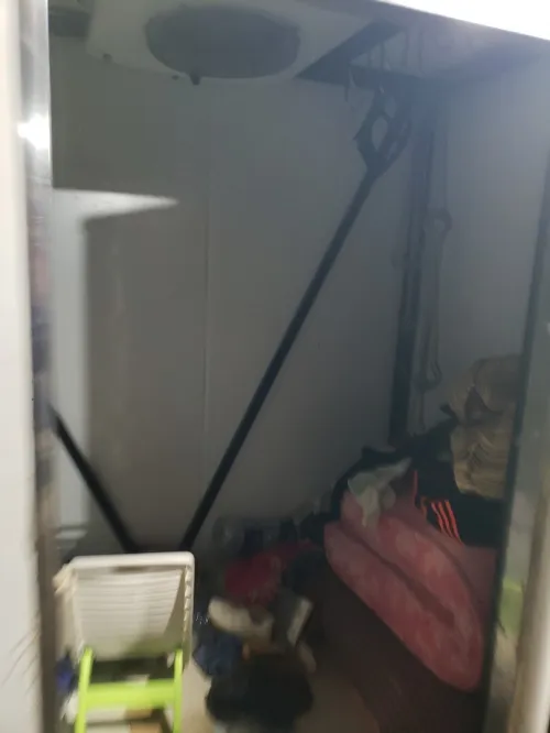 شمبر فريد بوشلي