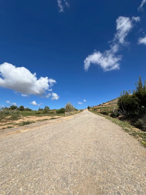 Vente Terrain Chlef Taougrite