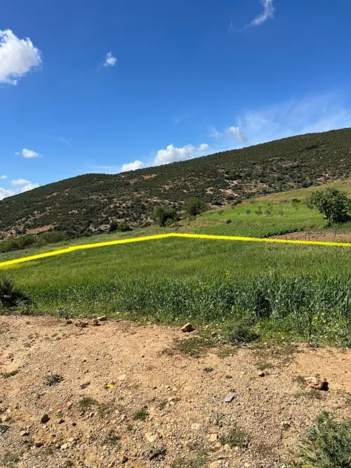 Vente Terrain Chlef Taougrite