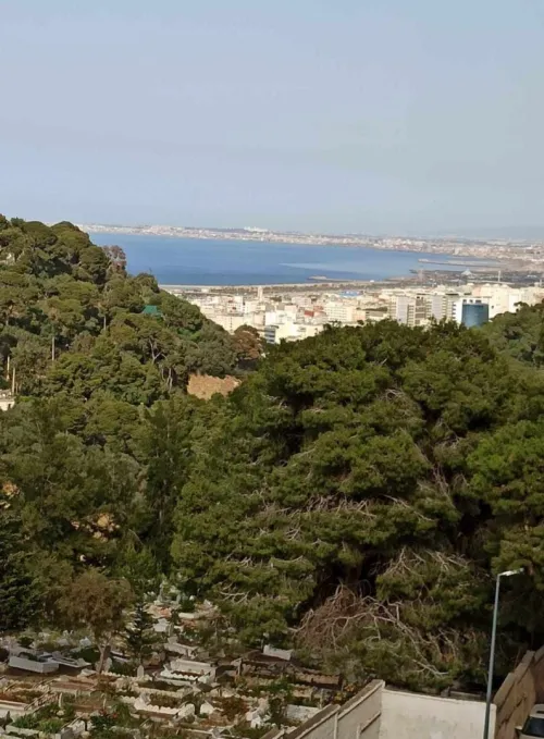 Vente Appartement F3 Alger El madania