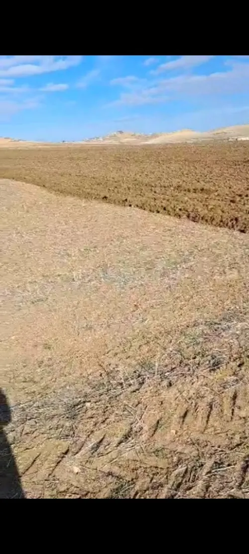 Vente Terrain Agricole Tissemsilt Ouled bessem