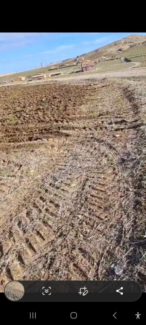 Vente Terrain Agricole Tissemsilt Ouled bessem