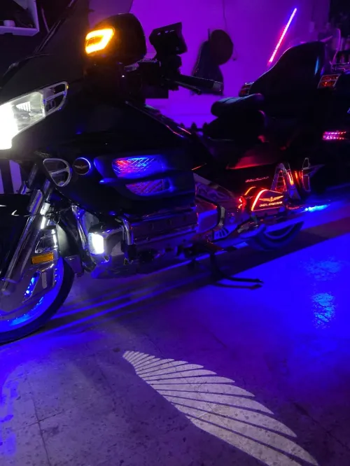 Honda Goldwing 2011