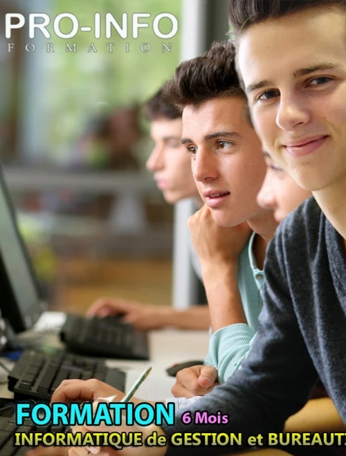 Formation: Informatique de Gestion et Bureautique