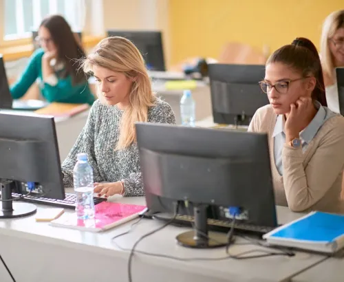 Formation: Informatique de Gestion et Bureautique