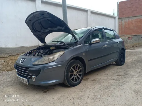 Peugeot 307 2006 Oxygo