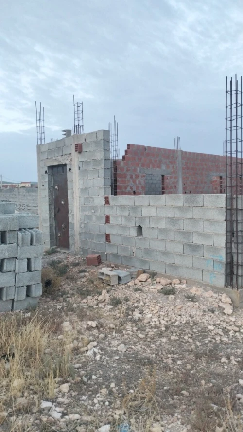 Vente Terrain Tébessa Bir el mokadem