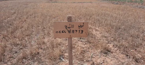 Vente Terrain Tlemcen Ain fezza