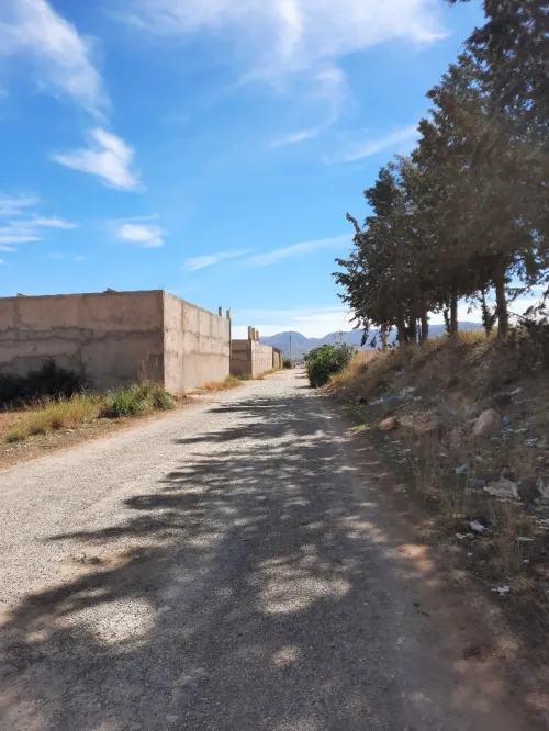 Vente Terrain Tlemcen Ain fezza