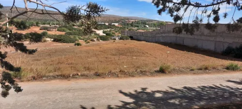 Vente Terrain Tlemcen Ain fezza