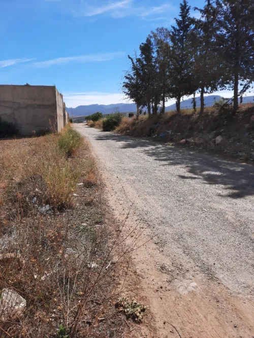 Vente Terrain Tlemcen Ain fezza