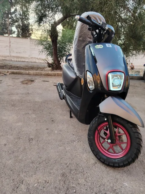 Cuxi Cuxi 2 2025