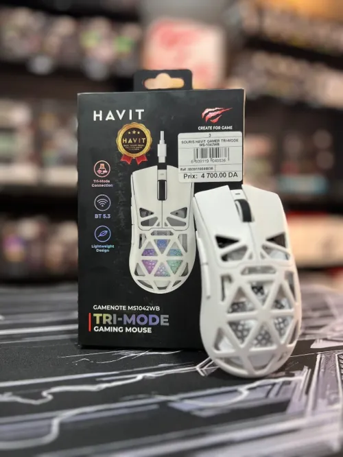 SOURIS HAVIT GAMENOTE MS1042WB