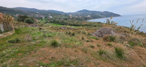 Vente Terrain Tizi Ouzou Azeffoun