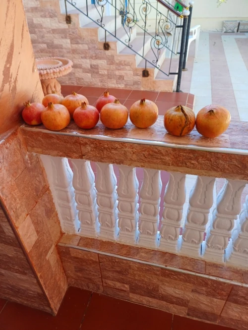 Location Villa Chlef Chlef