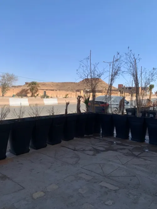 Vente Local Tindouf Tindouf
