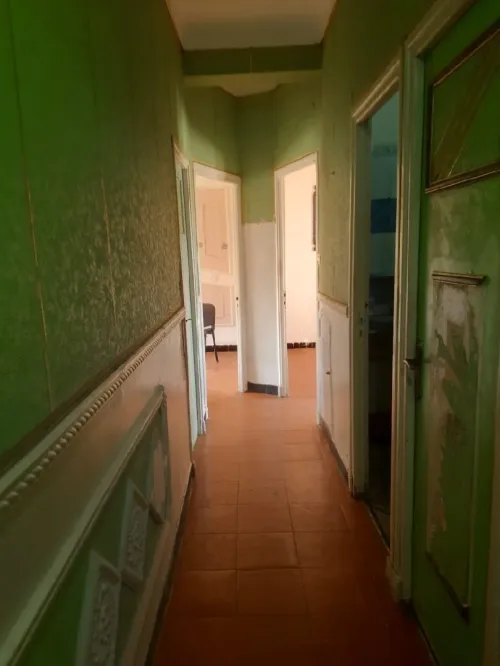 Vente Appartement F3 Alger Alger centre