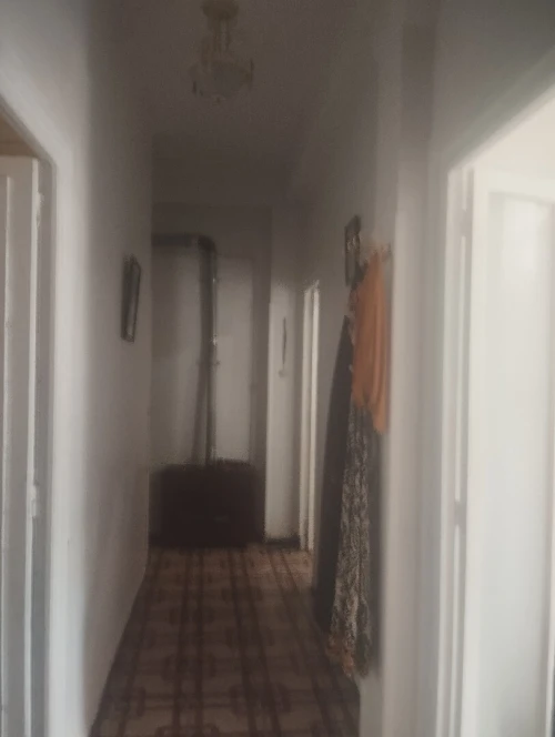 Vente Appartement F3 Alger Alger centre
