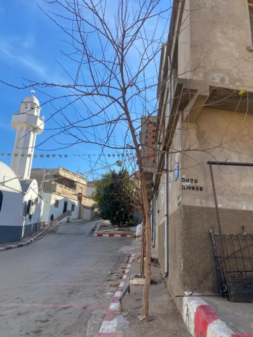 Vente Villa Mostaganem Mezghrane
