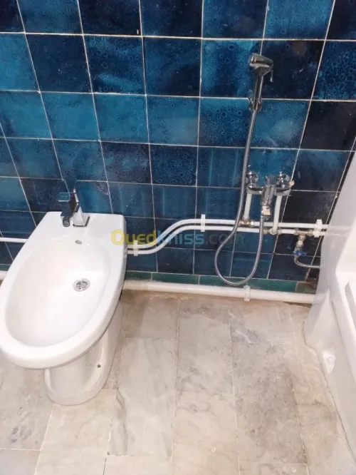 بلومبي باب الزوار