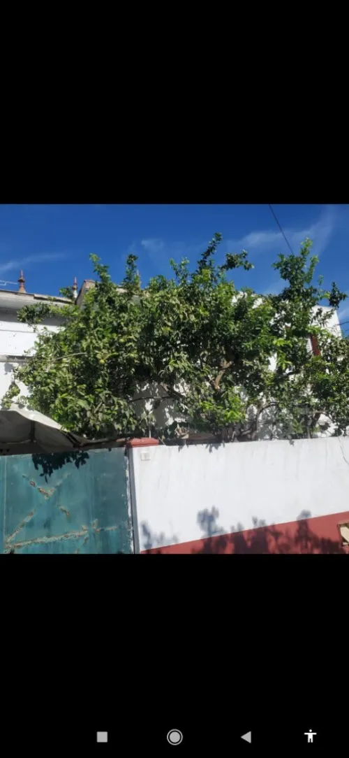 Vente Terrain Alger Kouba
