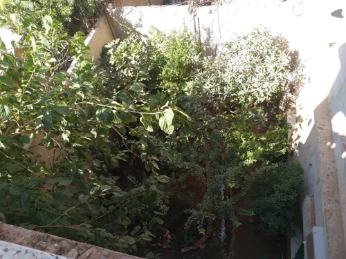 Vente Terrain Oran Bir el djir