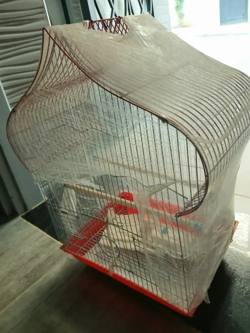 Cage de oiseux
