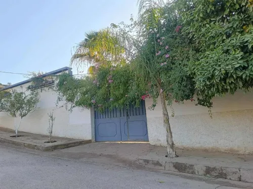 Vente Terrain Relizane Oued rhiou