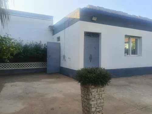 Vente Terrain Relizane Oued rhiou