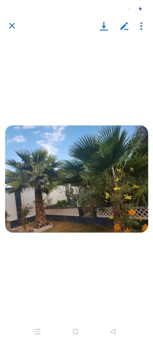 Vente Terrain Relizane Oued rhiou