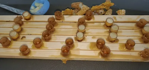 بيع جميع انواع العسل وحبوب اللقاح