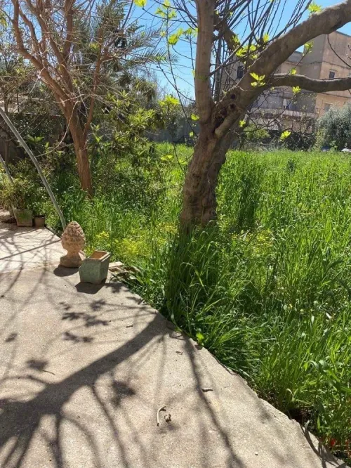 Vente Villa Boumerdes Ouled hedadj