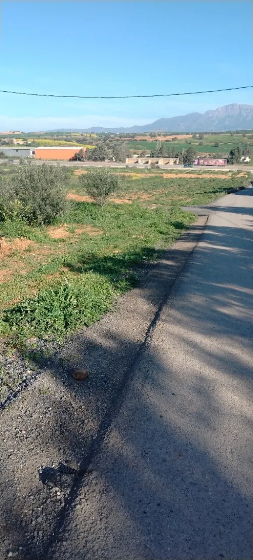 Vente Terrain Bouira Bechloul