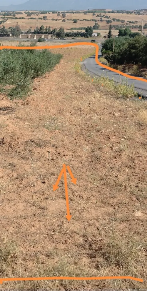 Vente Terrain Bouira Bechloul