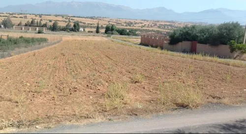Vente Terrain Bouira Bechloul
