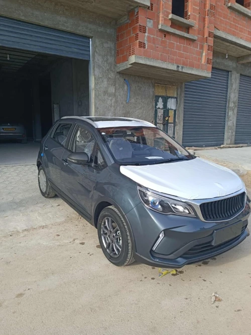 Livan X3 Pro  2025 International