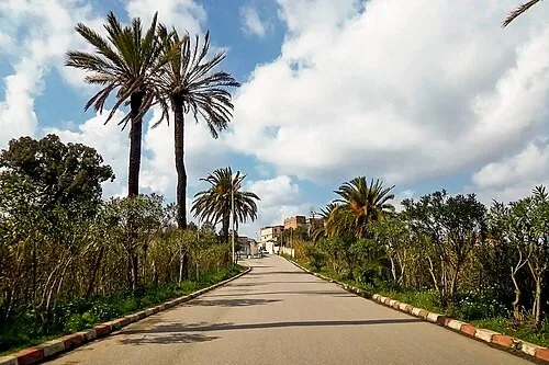 Vente Terrain Alger Staoueli