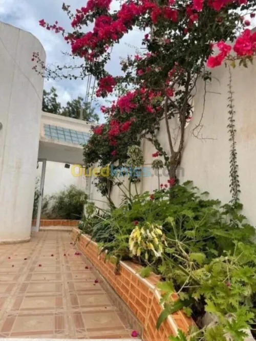 Vente Villa Alger Hydra