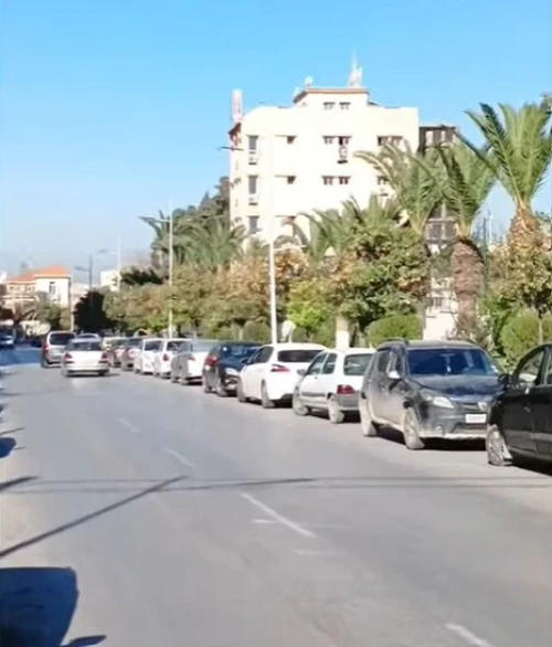 Vente Terrain Blida Blida