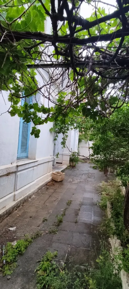 Vente Terrain Alger Bologhine