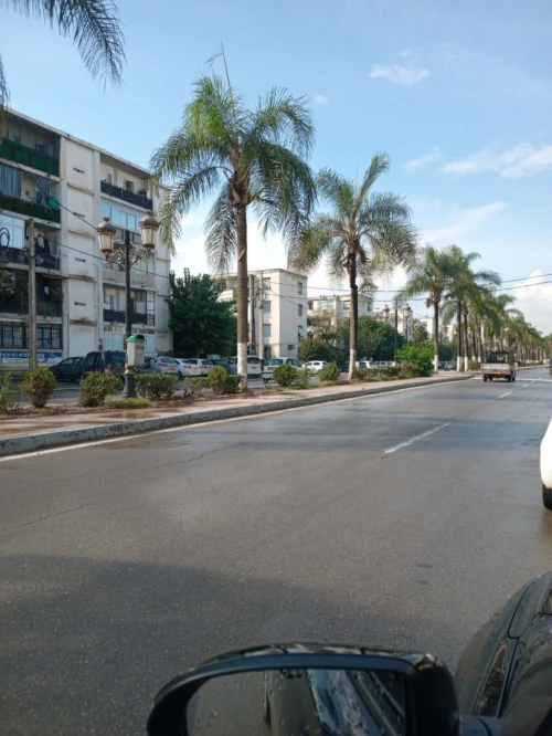 Location Local Alger Rouiba